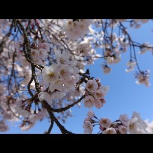 Meet your Posher, Mindy